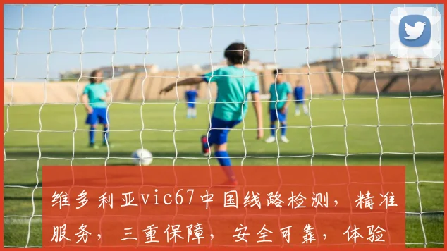 维多利亚vic67中国线路检测，精准服务，三重保障，安全可靠，体验非凡