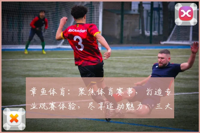 章鱼体育：聚焦体育赛事，打造专业观赛体验，尽享运动魅力，三大亮点不容错过，