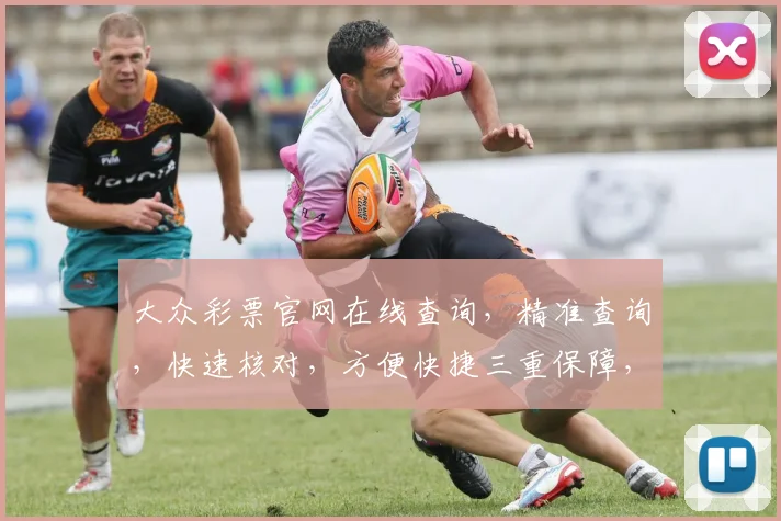 大众彩票官网在线查询，精准查询，快速核对，方便快捷三重保障，一站搞定