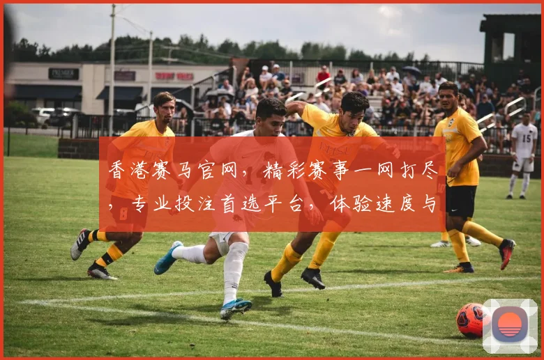 香港赛马官网，精彩赛事一网打尽，专业投注首选平台，体验速度与激情