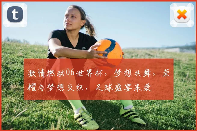 激情燃动06世界杯，梦想共舞，荣耀与梦想交织，足球盛宴来袭